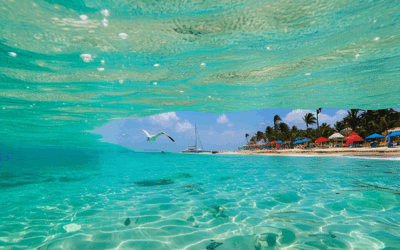 De la playa a la ciudad: ¿Cómo Punta Cancún combina lujo y conectividad en un sólo lugar?
